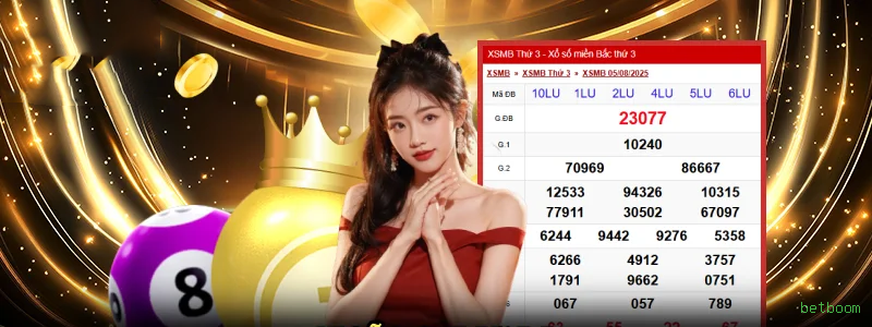 Apostas esportivas betboom - futebol e esportes ao vivo